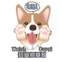 北部 Welsh Corgi 短腿柯基幫及圖