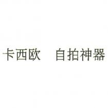 卡西歐 自拍神器