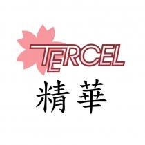 TERCEL 精華及圖