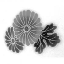 花朵設計圖
