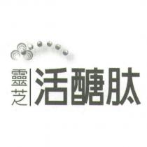 靈芝活醣肽及圖