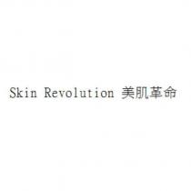 Skin Revolution 美肌革命