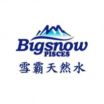 Bigsnow PISCES 雪霸天然水及圖