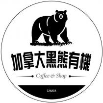 加拿大黑熊有機及圖