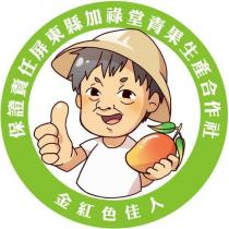 金紅色佳人及圖