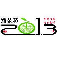 潘朵菈 2013 及圖