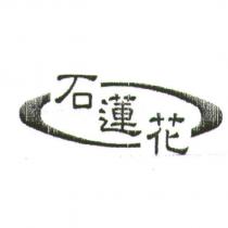 石蓮花及圖
