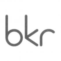 bkr 設計圖
