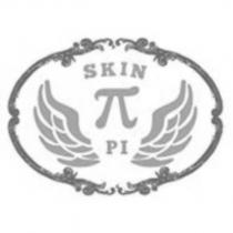 SKIN π PI 及圖