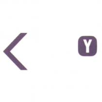 Y battery