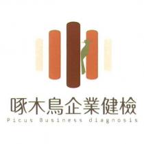 啄木鳥企業健檢 Picus Business diagnosis 及圖