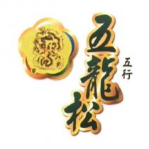 五龍松、五行及圖