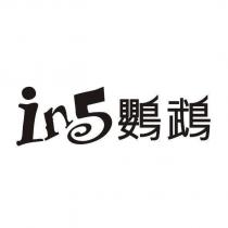 in5 鸚鵡