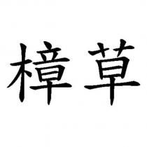 樟草
