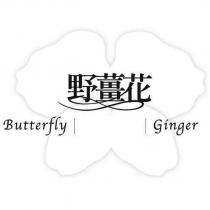 Butterfly Ginger 野薑花及圖