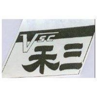 三禾 VSC 