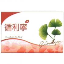 循利寧 Ginkgo 及房屋、樹葉設計圖 From Herbal For Health