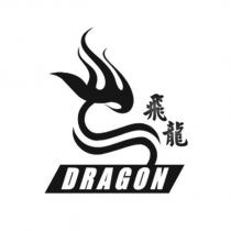 飛龍 DRAGON 及圖
