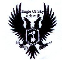 天空之鷹 Eagle Of Sky 及圖