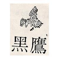 黑鷹及圖