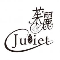 茱麗 Juliet 設計圖