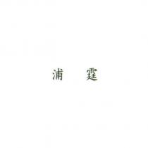 浦霆