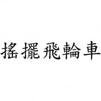 搖擺飛輪車