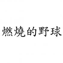 燃燒的野球