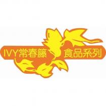 IVY 常春藤食品系列設計圖