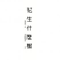 花生什麼樹