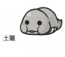 土龍及圖
