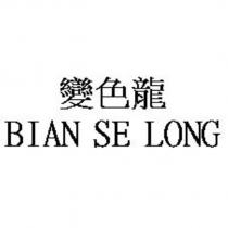 變色龍 BIAN SE LONG
