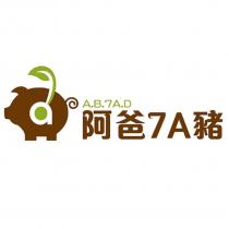 阿爸 7A 豬及圖