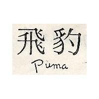 飛豹 PUMA