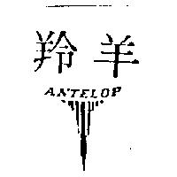 羚羊及圖 ANTELOP 