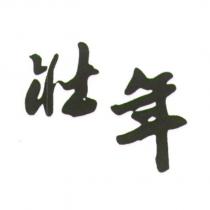 壯年