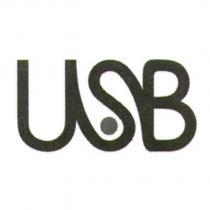 USB 字形設計