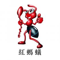 紅螞蟻及圖