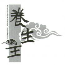 養生主 Essentials for Keeping a Good Health 及圖
