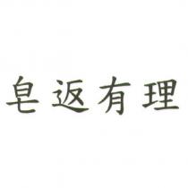 皂返有理
