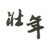 壯年