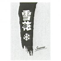 雪花 SNOW 及圖