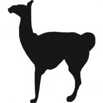 駱馬圖