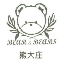 熊大庄 BEAR BEARS 及圖