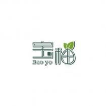 寶柚及圖
