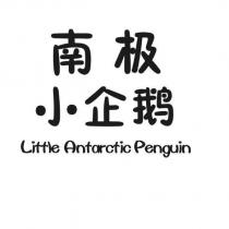 南極小企鵝 Little Antarctic Penguin