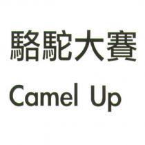 駱駝大賽 Camel Up