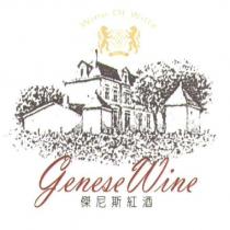 GENESE 傑尼斯及圖