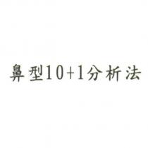鼻型 10+1 分析法