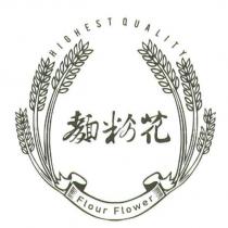 麵粉花 FLOUR FLOWER 及圖